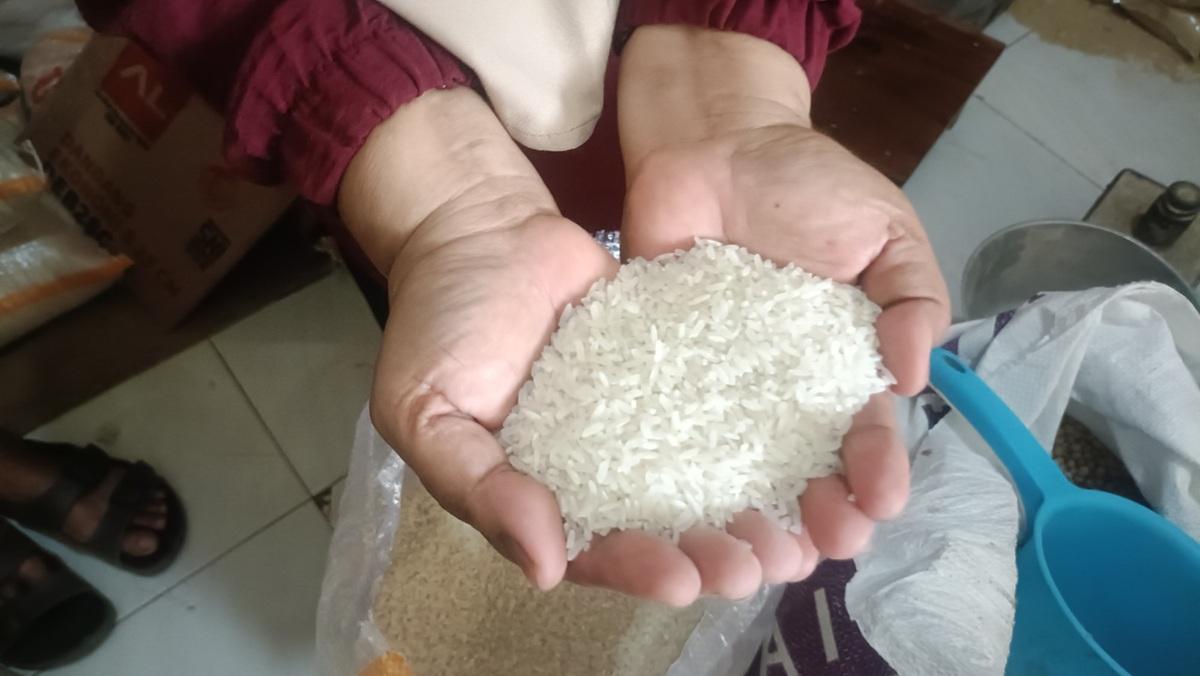 Harga Beras Premium Turun, Bulog Pastikan Tak Ada Kelangkaan!